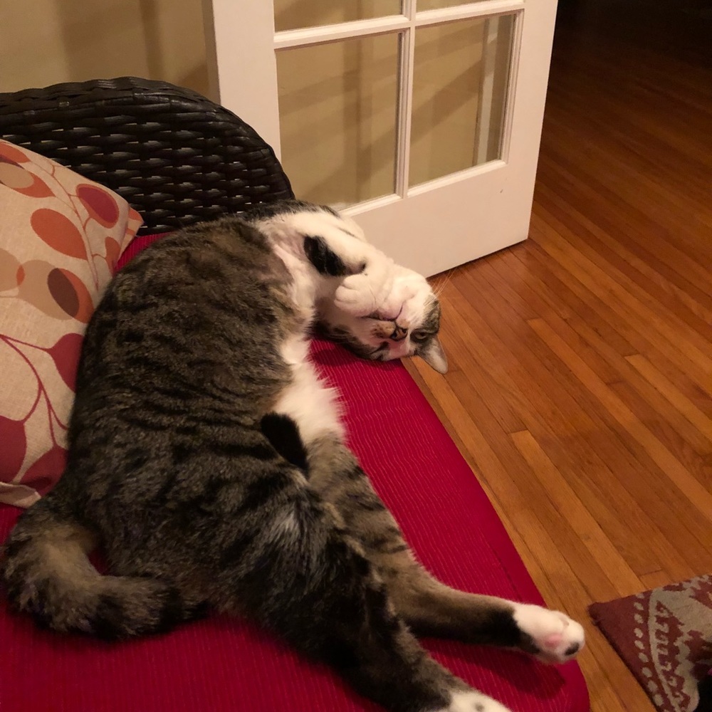 Meet your Posher, Sarah